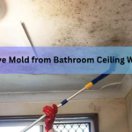 How to Remove Mold from Bathroom Ceiling Without Bleach