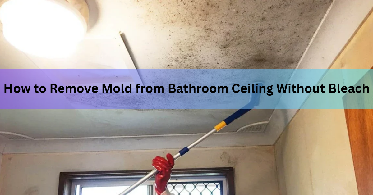 How to Remove Mold from Bathroom Ceiling Without Bleach