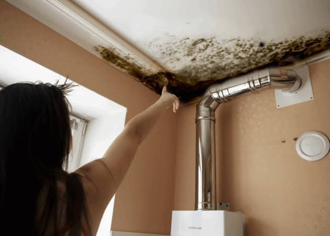 Why Does Mold Grow on Bathroom Ceilings?